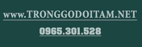 trống gỗ đọi tam