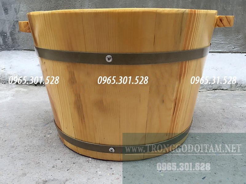 địa chỉ bán chậu ngân chân giá rẻ