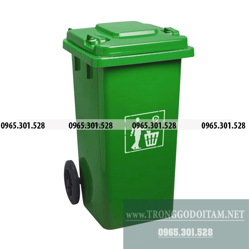 Ảnh gallery