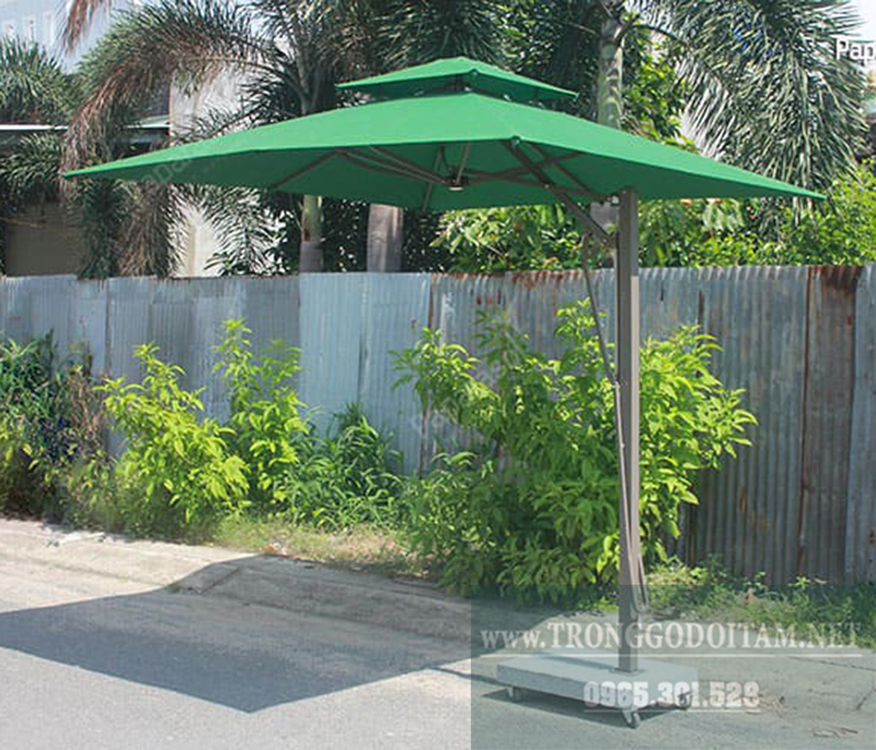 Ảnh gallery