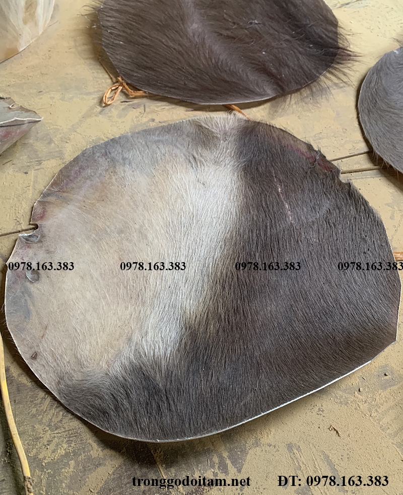 mặt trống được sửa chữa bằng da trâu già