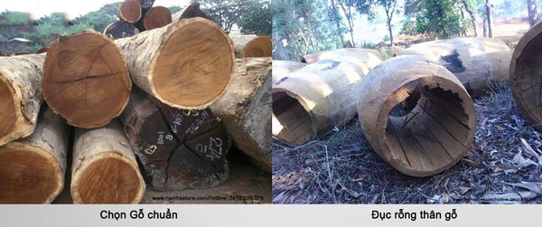 cách làm trống bát nhã