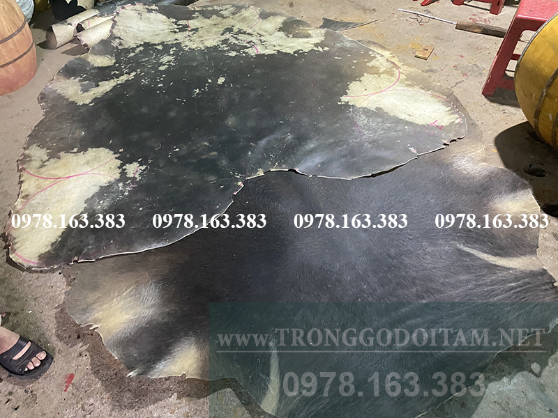 da trâu già làm trống gỗ